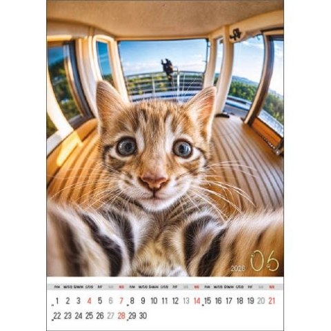 Kalendarz ścienny SELFIE 13-KARTKOWY A3+ Jotan (WP135)