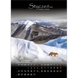 Kalendarz ścienny TAJEMNICZE BIESZCZADY WIELOPLANSZOWY 330mm x 500mm Jotan (WP127)