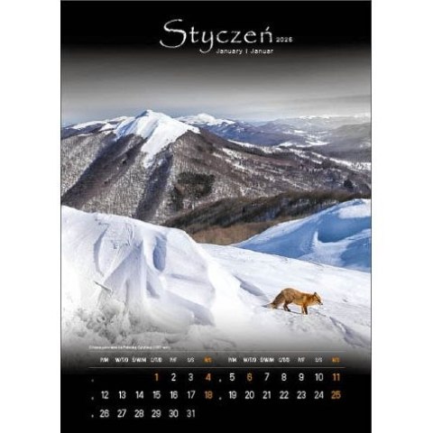 Kalendarz ścienny TAJEMNICZE BIESZCZADY WIELOPLANSZOWY 330mm x 500mm Jotan (WP127)