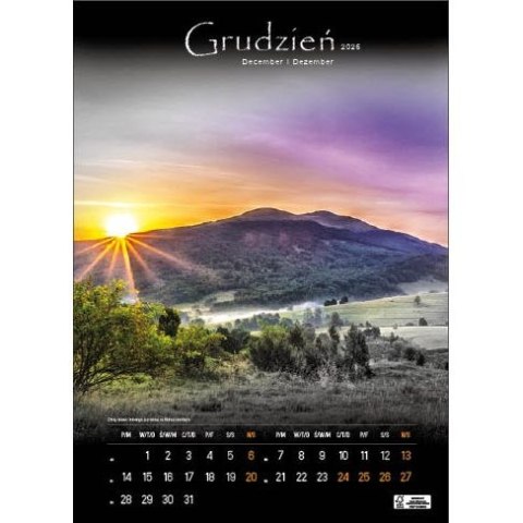 Kalendarz ścienny TAJEMNICZE BIESZCZADY WIELOPLANSZOWY 330mm x 500mm Jotan (WP127)