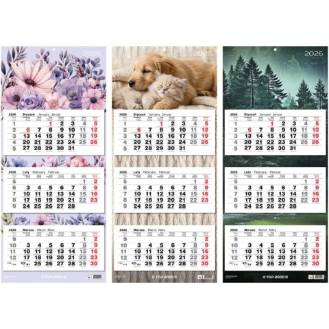 Kalendarz ścienny trójdzielny 310mm x 710mm Top (400204171)