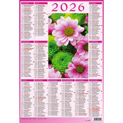 Kalendarz ścienny 5905031841033 plakietka A4 230mm x 335mm Wydawnictwo Wokół Nas (KS059)