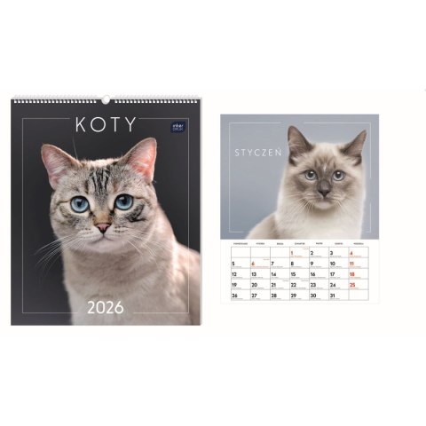 Kalendarz ścienny WIELOPLANSZOWY 355mm x 400mm Interdruk (KOTY)