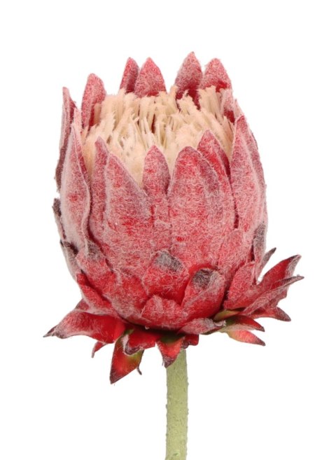 Kwiaty karczoch 65cm Home And Garden (8226)