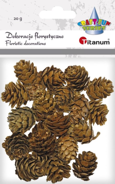 Ozdoba drewniana Craft-Fun Series szyszki Titanum (5903714533688)