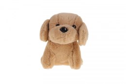 Brelok piesek cyrkonie mix (TT5151)