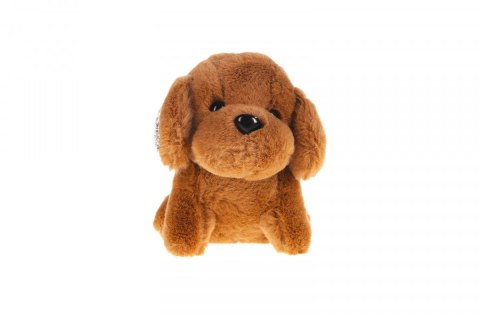 Brelok piesek cyrkonie mix (TT5151)