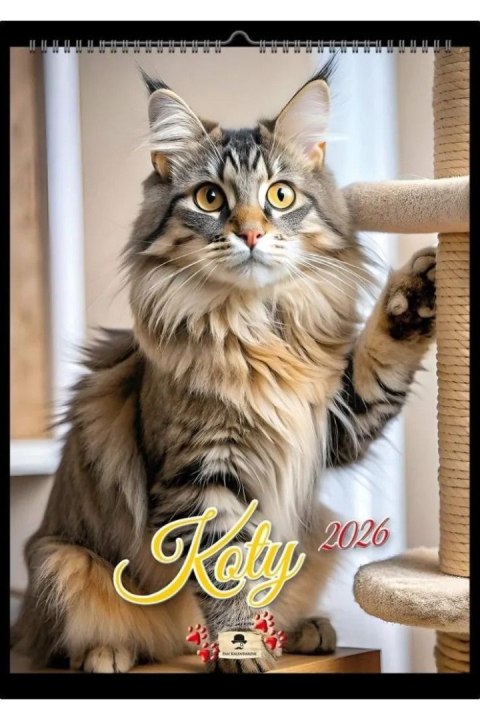 Kalendarz ścienny NA SPIRALI KOTY A4 Pan Kalendarzyk (KS A4 V.3)