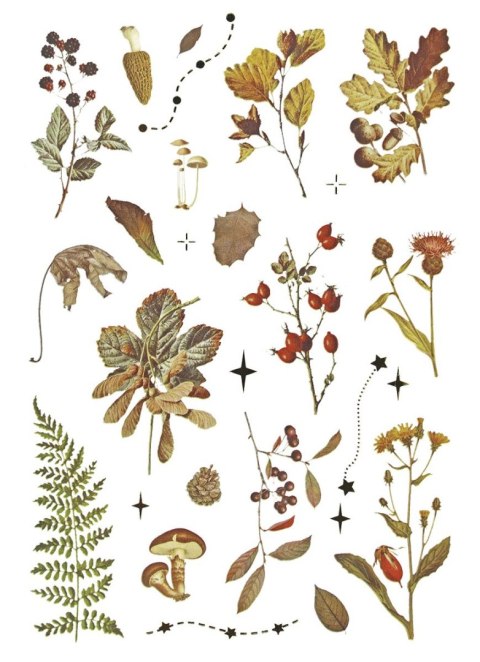 Naklejka (nalepka) Craft-Fun Series Naklejki foliowe 8 plansz Titanum (25YZ009)