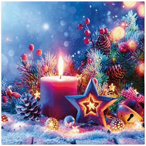 Serwetki BN mix bibuła [mm:] 330x330 Paw (TL234400)