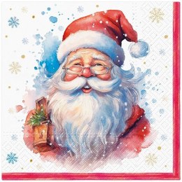 Serwetki BN mix bibuła [mm:] 330x330 Paw (TL234700)