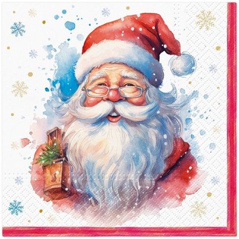 Serwetki BN mix bibuła [mm:] 330x330 Paw (TL234700)