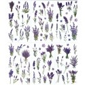 Naklejka (nalepka) Craft-Fun Series Lawenda foliowe Titanum (25MD003)