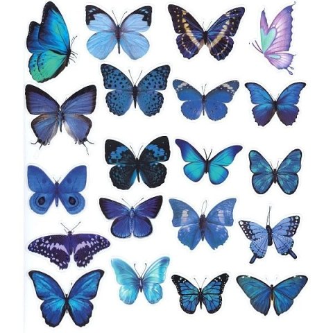 Naklejka (nalepka) Craft-Fun Series Motyle niebieskie foliowe Titanum (25MD009)