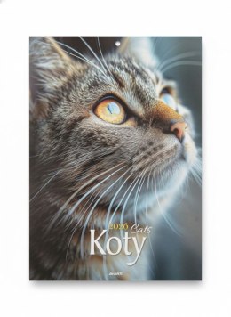 Kalendarz ścienny MAŁY Koty 230mm x 305mm Avanti (KSM-4)