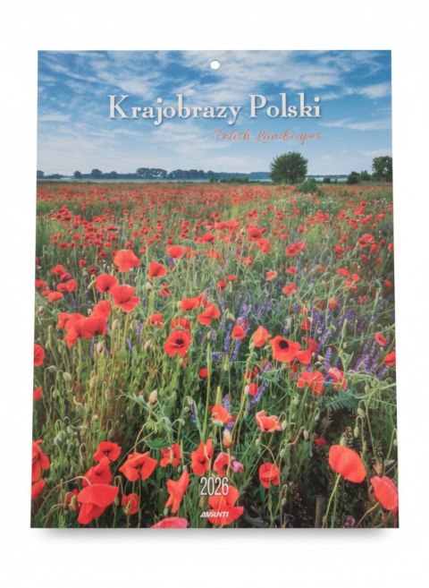 Kalendarz ścienny MAŁY Krajobrazy 230mm x 305mm Avanti (KSM-1)