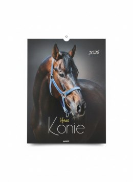 Kalendarz ścienny MAŁY wieloplanszowy 230mm x 320mm Avanti (KSM-5)