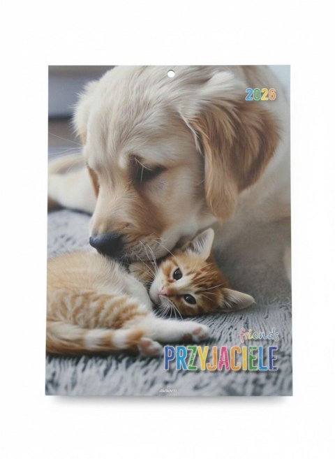 Kalendarz ścienny MAŁY wieloplanszowy 230mm x 320mm Avanti (KSM-7)