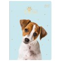 Zeszyt Interdruk Puppy Sign A5 16k. 70g krata [mm:] 148x210 (ZE16#PS)