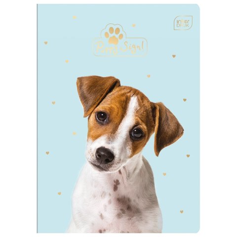 Zeszyt A5 Puppy Sign 16k. 70g krata [mm:] 148x210 Interdruk (ZE16#PS)