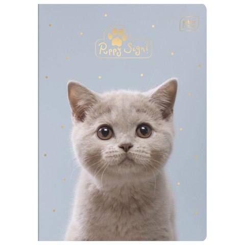 Zeszyt A5 Puppy Sign 16k. 70g krata [mm:] 148x210 Interdruk (ZE16#PS)