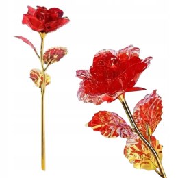 Kwiaty Wieczna róża błyszcząca, mix kolorów