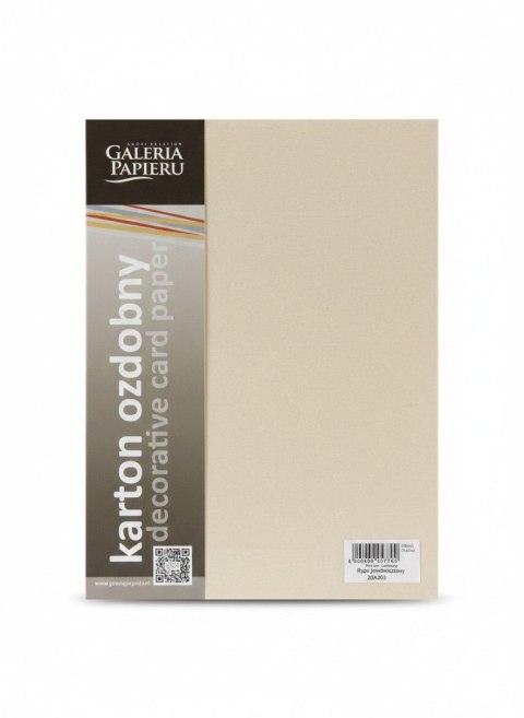 Papier ozdobny (wizytówkowy) A4 Ryps beżowy 250g Galeria Papieru (204701)