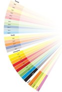 Papier kolorowy A4 Color różowy flamingo 500k. 80g [mm:] 210x297 Mondi (OPI74)