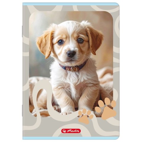 Zeszyt A5 ANIMALS 16k. 70g linia podwójna kolorowa Herlitz (400206377)