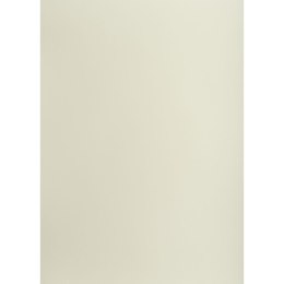 Brystol A1 jasnoszary 160g 25k [mm:] 610x860 TOP-2000 (400149522)