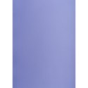 Brystol purpurowy A1 purpurowy 160g [mm:] 610x860 TOP-2000 (400149563)
