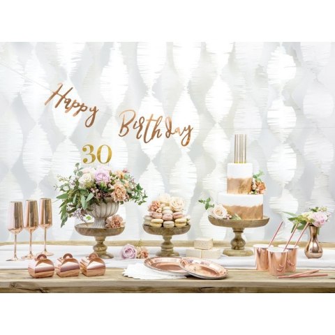Talerz jednorazowy papier śr. 230mm 6 szt Partydeco (TPP36-019R)