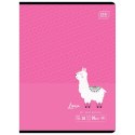 Zeszyt A5 B&B KIDS 16k. 90g linia kolor Interdruk