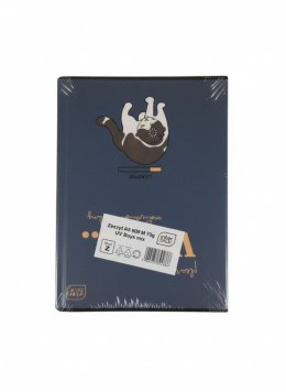 Zeszyt A5 BOYS mix 60k. 70g krata Interdruk