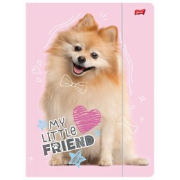 Teczka kartonowa na gumkę POMERANIAN A4 różowy 300g Unipap