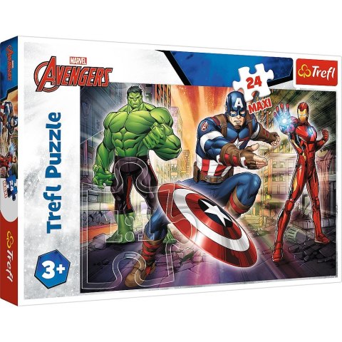 Puzzle 24 el. Trefl (14321)