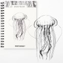 Blok artystyczny szkicownik meduza B5 120g 60k Narcissus
