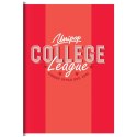 Zeszyt A4 COLLEGE DAILY 60k. 90g krata Unipap