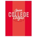Zeszyt A5 COLLEGE DAILY 60k. 90g linia Unipap