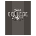 Zeszyt A5 COLLEGE ELITE 60k. 90g linia Unipap
