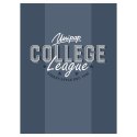 Zeszyt A5 COLLEGE ELITE 60k. 90g linia Unipap