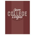 Zeszyt A5 COLLEGE ELITE 60k. 90g linia Unipap