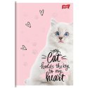Zeszyt A5 PURRFECT MOMENTS 60k. 70g krata Unipap