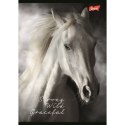 Zeszyt A5 Wild Heart 60k. 70g krata Unipap