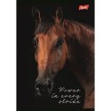 Zeszyt A5 Wild Heart 60k. 70g krata Unipap