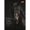 Zeszyt A5 Wild Heart 60k. 70g krata Unipap