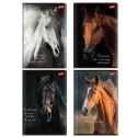 Zeszyt A5 Wild Heart 60k. 70g krata Unipap