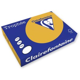 Papier kolorowy Trophee kolorowy A4 brązowy wielbłądzi 160g (xca41102)