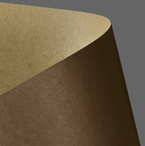Papier ozdobny (wizytówkowy) A4 kraft brązowy brązowy 275g Galeria Papieru (204418)