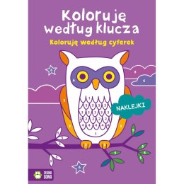 Książeczka edukacyjna Zielona Sowa Koloruję według klucza. Koloruję według cyferek